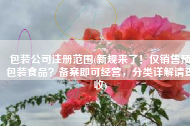 包装公司注册范围(新规来了！仅销售预包装食品？备案即可经营，分类详解请查收)