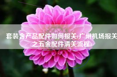 套装含产品配件如何报关(广州机场报关之五金配件清关流程)
