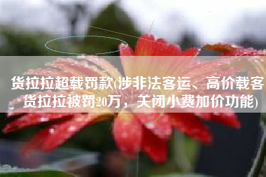 货拉拉超载罚款(涉非法客运、高价载客，货拉拉被罚20万，关闭小费加价功能)