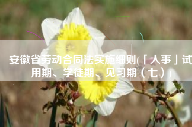 安徽省劳动合同法实施细则(「人事」试用期、学徒期、见习期（七）)