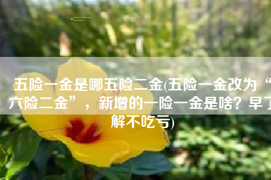 五险一金是哪五险二金(五险一金改为“六险二金”，新增的一险一金是啥？早了解不吃亏)