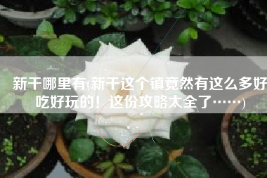 新干哪里有(新干这个镇竟然有这么多好吃好玩的！这份攻略太全了……)