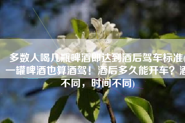 多数人喝几瓶啤酒即达到酒后驾车标准(一罐啤酒也算酒驾！酒后多久能开车？酒不同，时间不同)