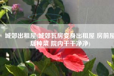 城郊出租屋(城郊瓦房变身出租屋 房前屋后种菜 院内干干净净)