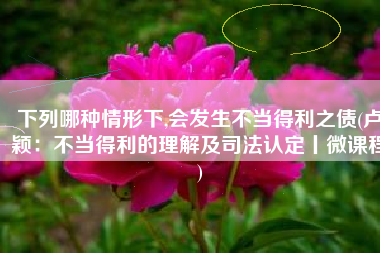 下列哪种情形下,会发生不当得利之债(卢颖：不当得利的理解及司法认定丨微课程)