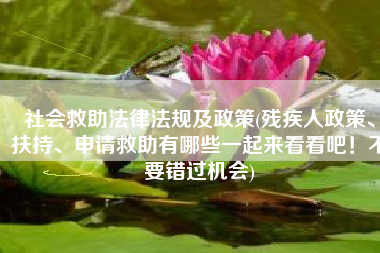 社会救助法律法规及政策(残疾人政策、扶持、申请救助有哪些一起来看看吧！不要错过机会)