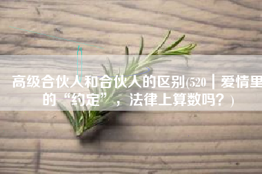 高级合伙人和合伙人的区别(520｜爱情里的“约定”，法律上算数吗？)