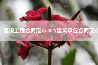 建设工程合同范本2017(建筑承包合同范本)