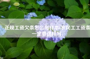 正规工资欠条怎么写样本(农民工工资条一定要这样写)