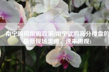 南宁购房限购政策(南宁武鸣高分楼盘的最新现场美图，速来围观)