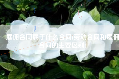 雇佣合同属于什么合同(劳动合同和雇佣合同的主要区别)
