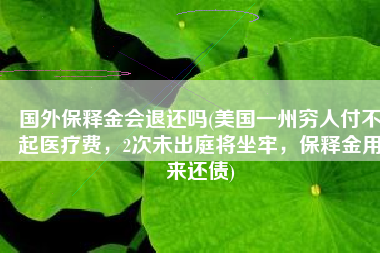 国外保释金会退还吗(美国一州穷人付不起医疗费，2次未出庭将坐牢，保释金用来还债)
