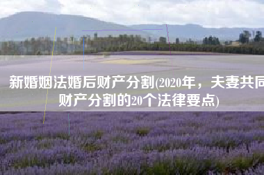 新婚姻法婚后财产分割(2020年，夫妻共同财产分割的20个法律要点)