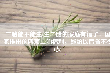 二胎能不能生(生二胎的家庭有福了，国家推出的四项二胎福利，能给以后省不少心)