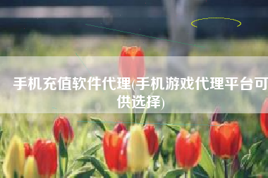 手机充值软件代理(手机游戏代理平台可供选择)