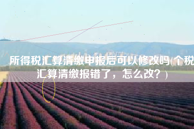 所得税汇算清缴申报后可以修改吗(个税汇算清缴报错了，怎么改？)