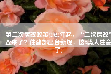 第二次房改政策(2022年起，“二次房改”要来了？住建部出台新规，这3类人注意了)