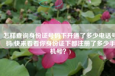 怎样查询身份证号码下开通了多少电话号码(快来看看你身份证下都注册了多少手机号？)