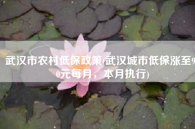 武汉市农村低保政策(武汉城市低保涨至910元每月，本月执行)