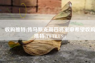 收购推特(传马斯克周四将重申希望收购推特(TWTR.US))
