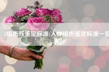 5级伤残鉴定标准(人体损伤鉴定标准一览表)