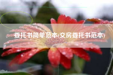 委托书简单范本(交房委托书范本)