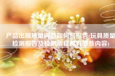 产品出现质量问题如何写报告(玩具质量检测报告及检测项目都有哪些内容)