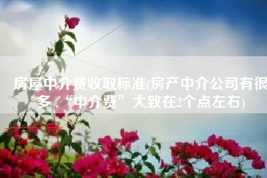 房屋中介费收取标准(房产中介公司有很多 ,“中介费”大致在2个点左右)