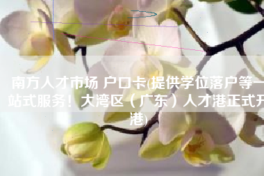 南方人才市场 户口卡(提供学位落户等一站式服务！大湾区（广东）人才港正式开港)