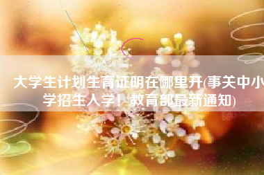 大学生计划生育证明在哪里开(事关中小学招生入学！教育部最新通知)