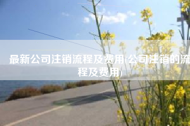 最新公司注销流程及费用(公司注销的流程及费用)