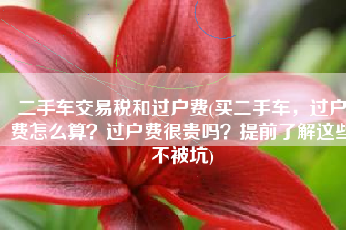 二手车交易税和过户费(买二手车，过户费怎么算？过户费很贵吗？提前了解这些不被坑)