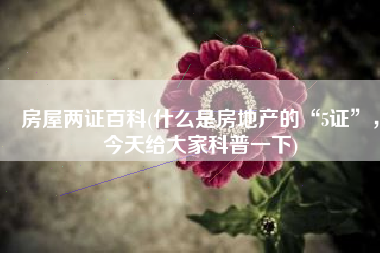 房屋两证百科(什么是房地产的“5证”，今天给大家科普一下)