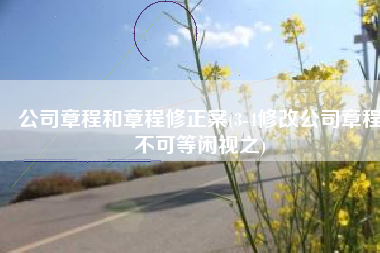公司章程和章程修正案(3-4修改公司章程不可等闲视之)