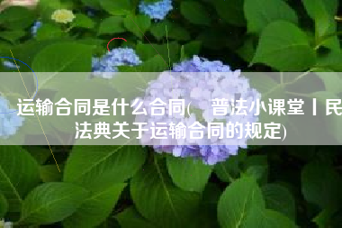 运输合同是什么合同(​普法小课堂丨民法典关于运输合同的规定)