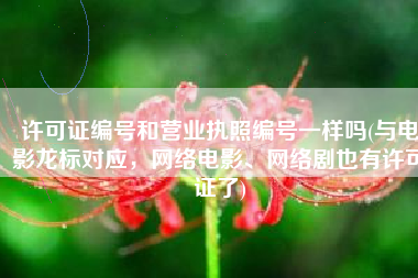 许可证编号和营业执照编号一样吗(与电影龙标对应，网络电影、网络剧也有许可证了)