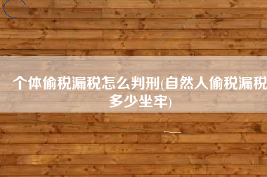 个体偷税漏税怎么判刑(自然人偷税漏税多少坐牢)