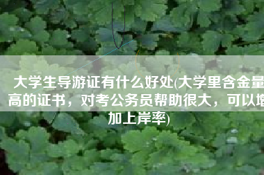 大学生导游证有什么好处(大学里含金量高的证书，对考公务员帮助很大，可以增加上岸率)