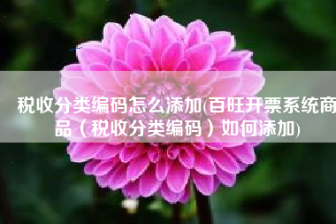 税收分类编码怎么添加(百旺开票系统商品（税收分类编码）如何添加)
