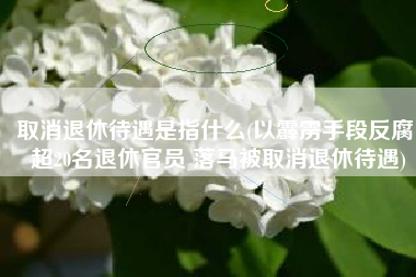 取消退休待遇是指什么(以霹雳手段反腐 超20名退休官员 落马被取消退休待遇)