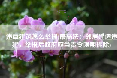 违章建筑怎么举报(最高法：邻居建造违建，举报后政府应当责令限期拆除)