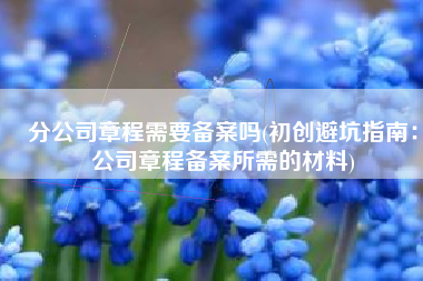 分公司章程需要备案吗(初创避坑指南：公司章程备案所需的材料)