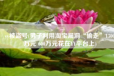 yy被盗号(男子利用淘宝漏洞“偷走”1300万元 600万元花在YY平台上)