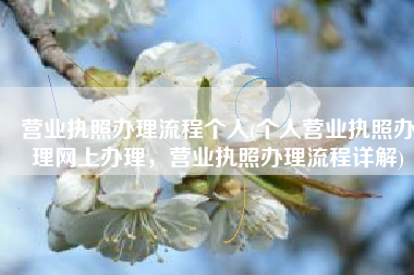 营业执照办理流程个人(个人营业执照办理网上办理，营业执照办理流程详解)