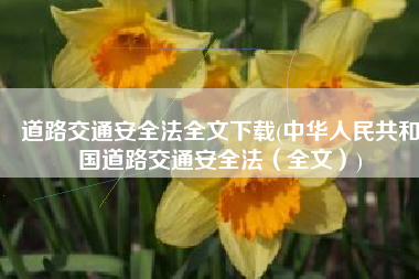 道路交通安全法全文下载(中华人民共和国道路交通安全法（全文）)