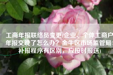 工商年报联络员变更(企业、个体工商户年报交晚了怎么办？金牛区市场监管局：补报程序有区别，应按时报送)