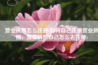 营业执照怎么注册(如何自己注册营业执照，营业执照自己怎么去注册)