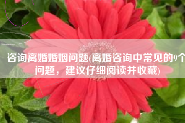 咨询离婚婚姻问题(离婚咨询中常见的9个问题，建议仔细阅读并收藏)