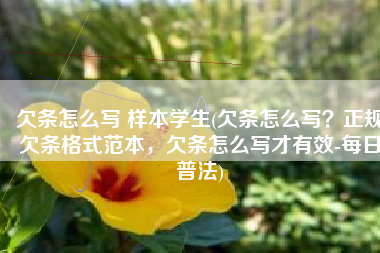 欠条怎么写 样本学生(欠条怎么写？正规欠条格式范本，欠条怎么写才有效-每日普法)