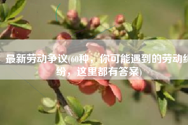 最新劳动争议(60种，你可能遇到的劳动纠纷，这里都有答案)